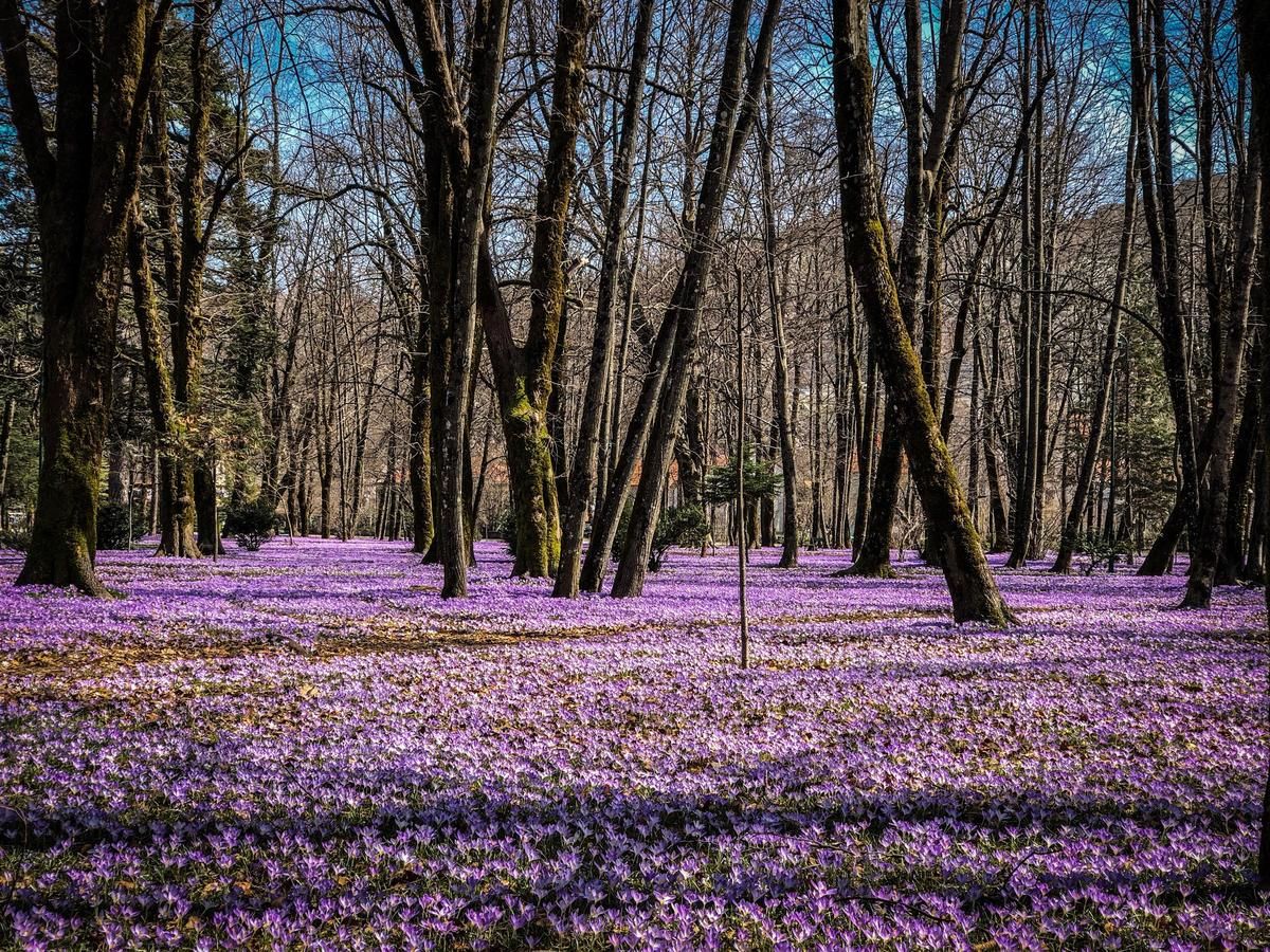 Апартаменты Markov konak Цетине