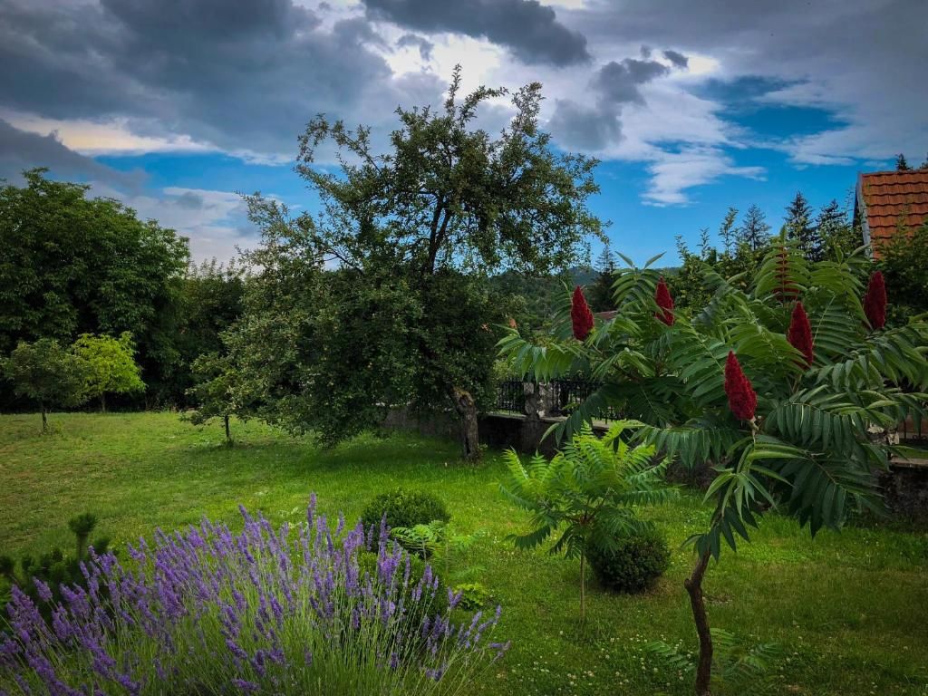 Апартаменты Markov konak Цетине