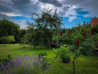 Апартаменты Markov konak Цетине Апартаменты-56